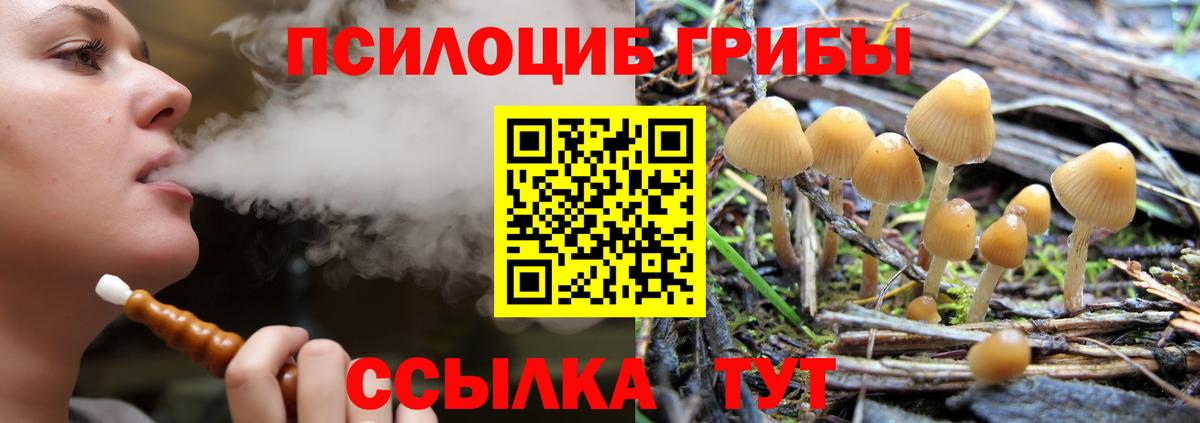 Красногорск  Псилоцибиновые грибы мухоморы  Вход с VPN 